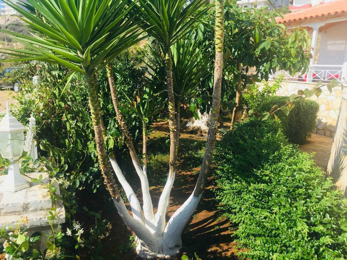 Apartments On The Beach Sarande Bagian luar foto